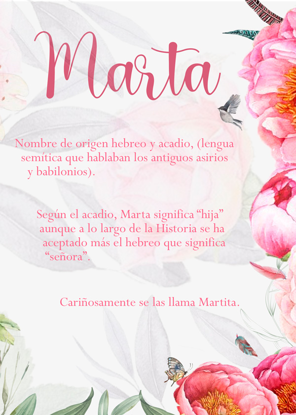 Luna de fresa fotografía infantil - natalicios 8